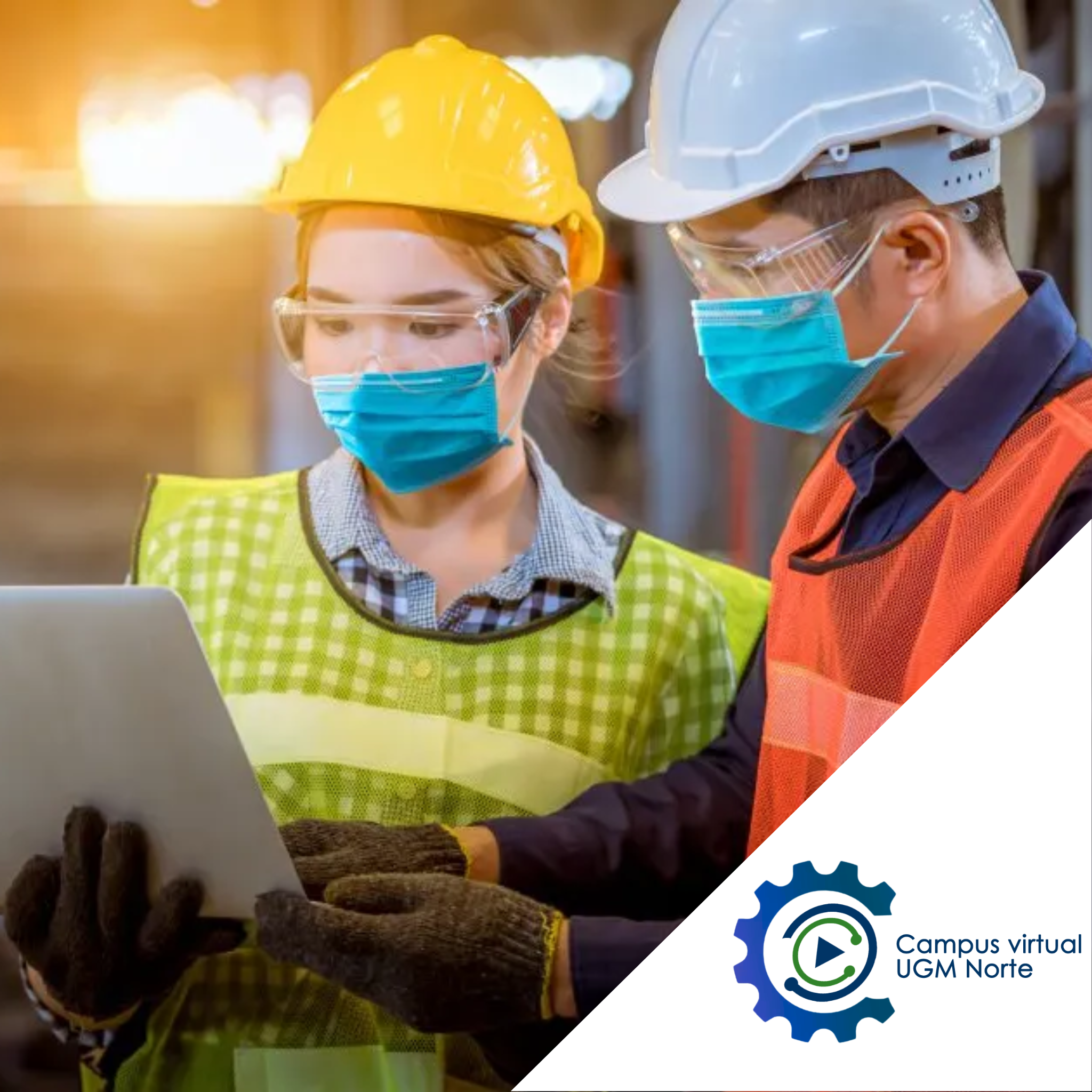 Higiene y seguridad Industrial